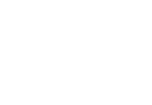 TTSV Anklam